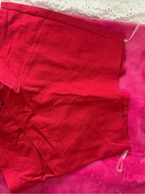 Blue Blush Vibrant Pink-Red Skirt